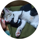 SãhïL profile picture